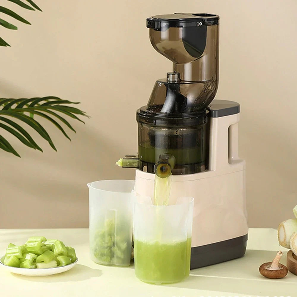 500W Blender for Kitchen Fruit Mixers, Portable Electric Juicer Machine, Juice Residue Separation Filter Orange Juice Maker